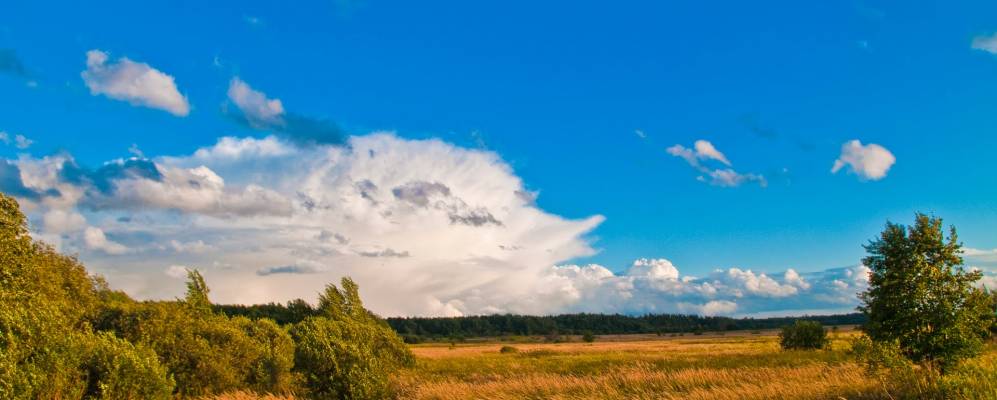 
            Фотография Поддубного