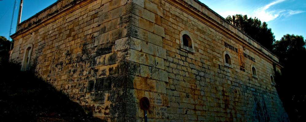 
            Фотография Иби