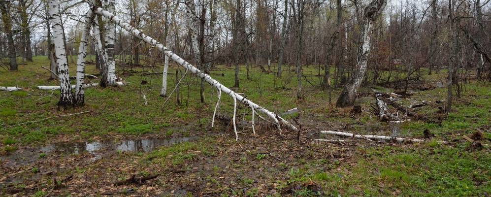 
            Фотография Чуюнчи-Чупаново