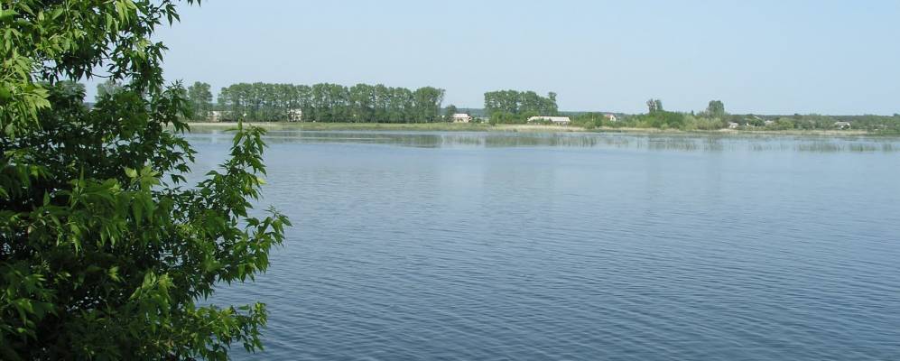 
            Фотография Радиховщины