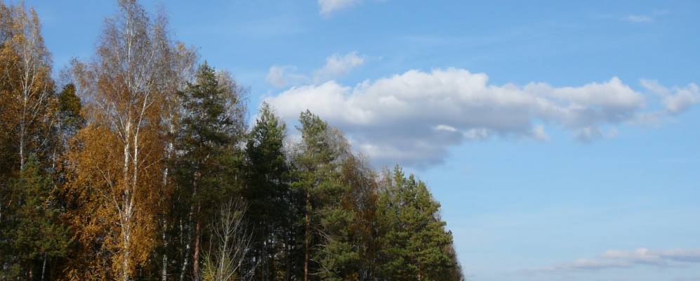 Фотография Тамболеса