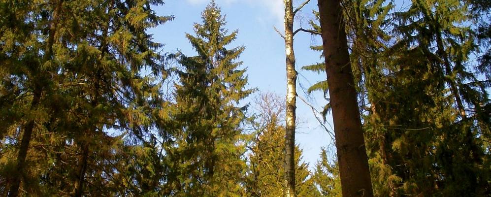 
            Фотография Подушкино