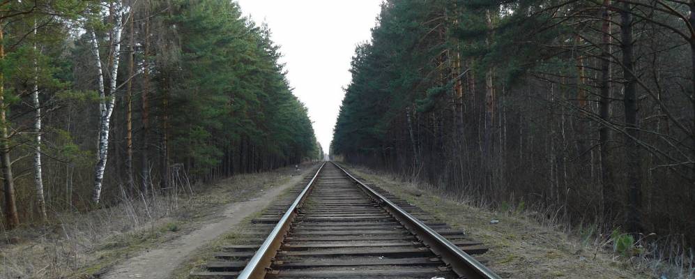 
            Фотография Соснового