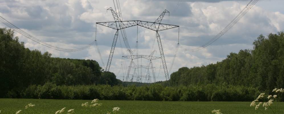 Фотография Шишкино