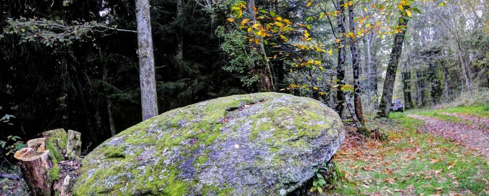 
            Фотография Шале