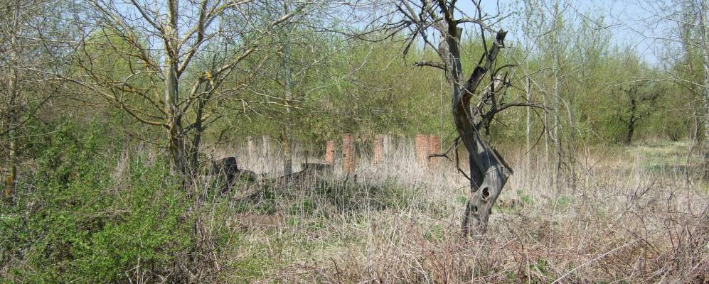 
            Фотография Волоховщины