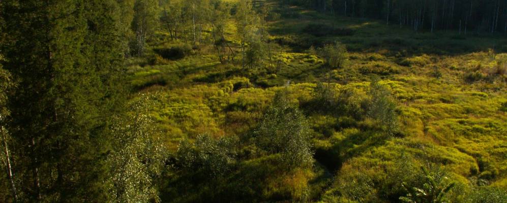 Фотография Холма