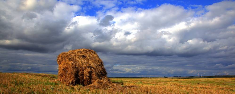 
            Фотография Лучинки