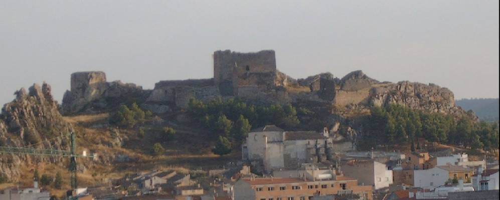 
            Фотография Айоры