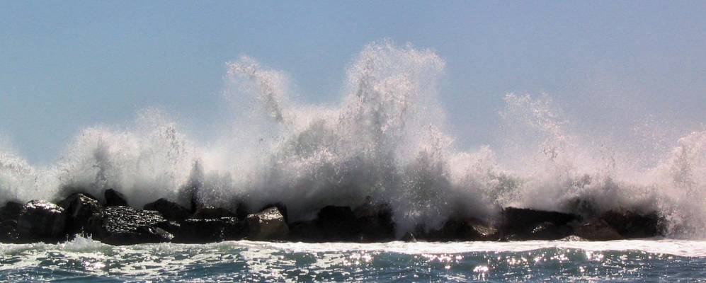 
            Фотография Монельи