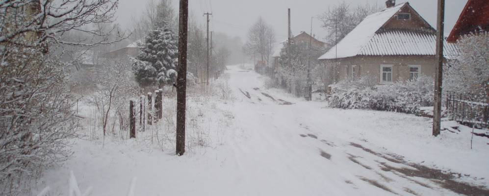 
            Фотография Подлесья