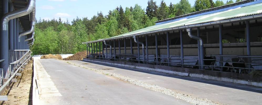 Фотография Комлища