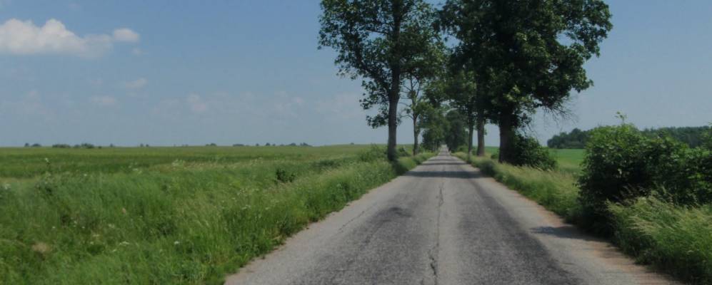 
            Фотография Бобров