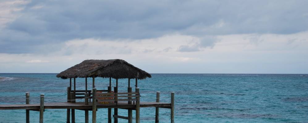 
            Фотография Макбрайд