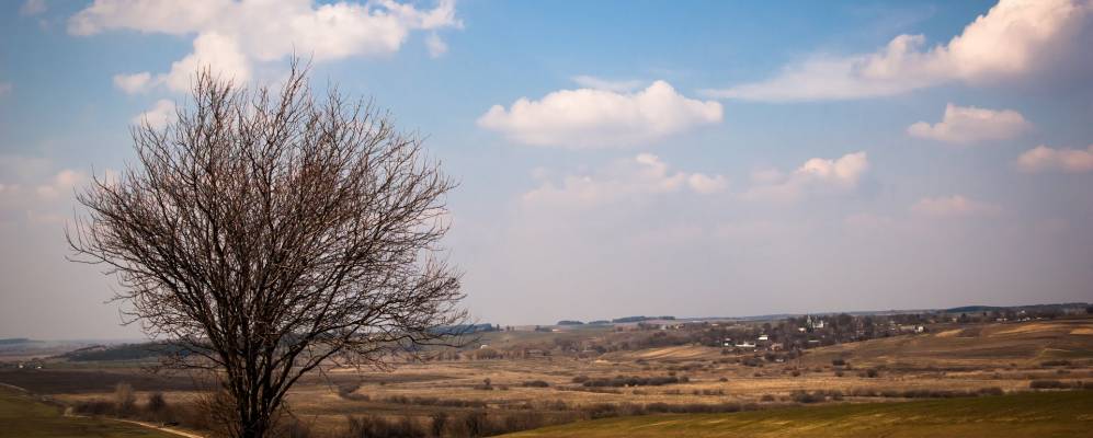 
            Фотография Макотерты