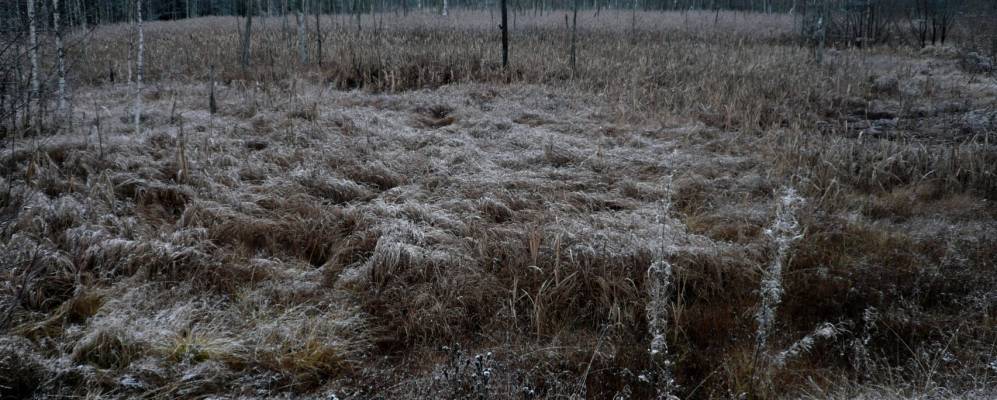 
            Фотография Сибири