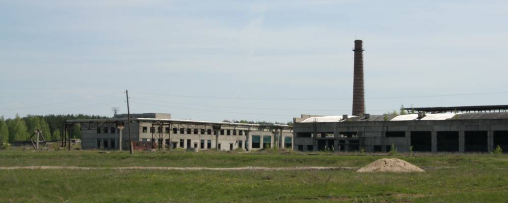 
            Фотография Змейки