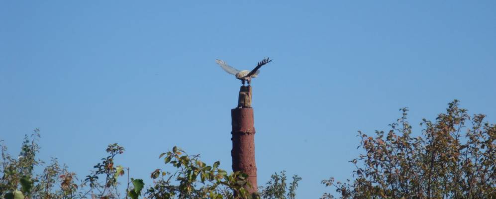 Фотография Рылово