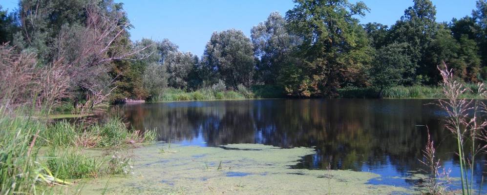 
            Фотография Борового