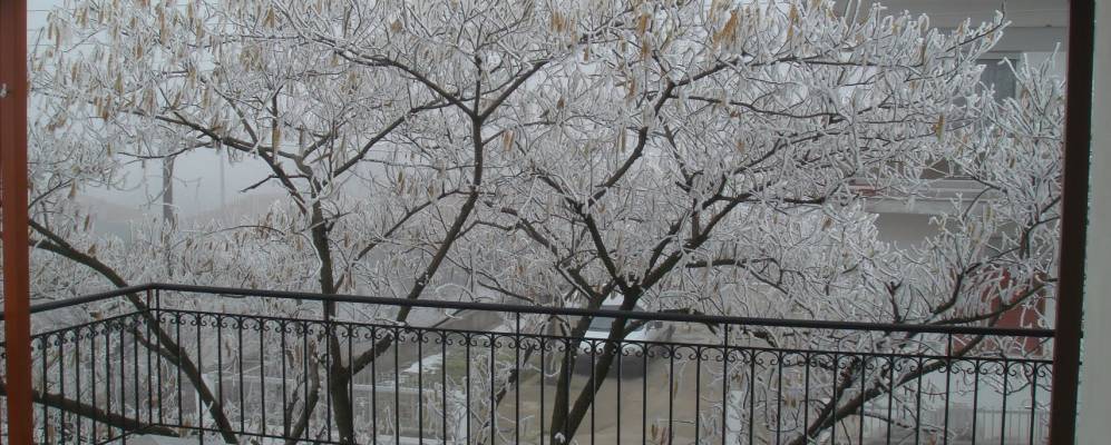 
            Фотография Неа Виссы