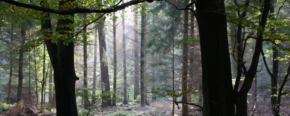 
            Фотография Хаттена