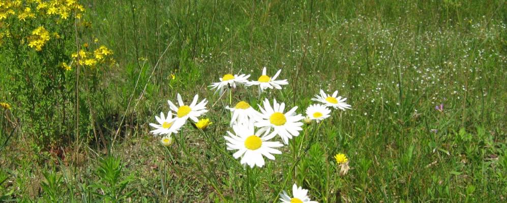 
            Фотография Маяка