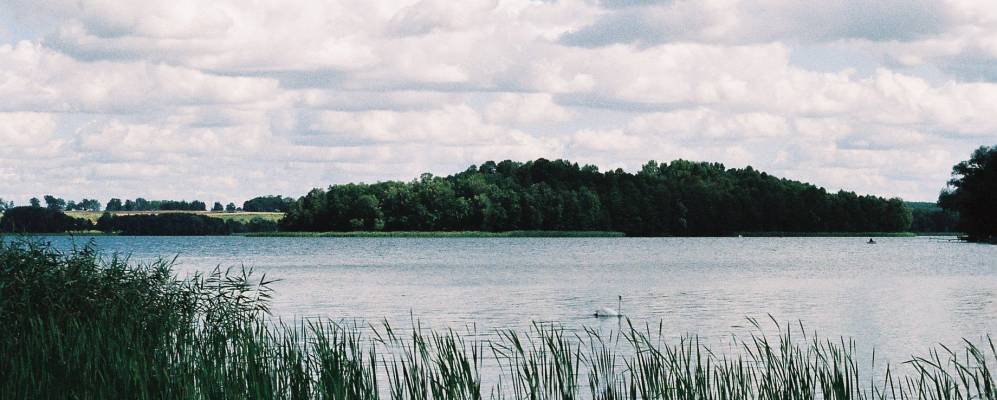 
            Фотография Ставигуды