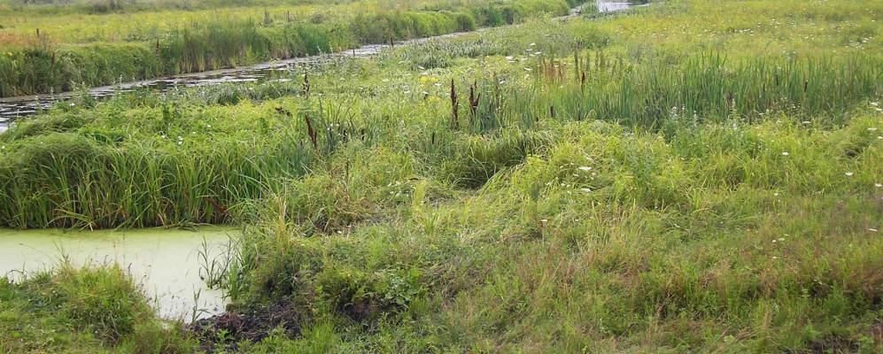 
            Фотография Ковалевки