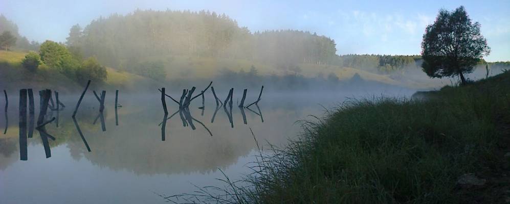 
            Фотография поселка Совьи Лапки