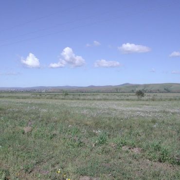 Новоникольское