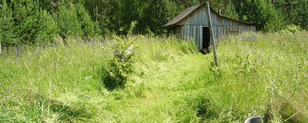 
            Фотография Свободного