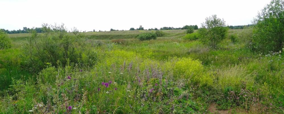 Фотография Бычковых