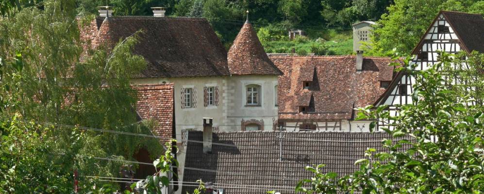 
            Фотография Глатт