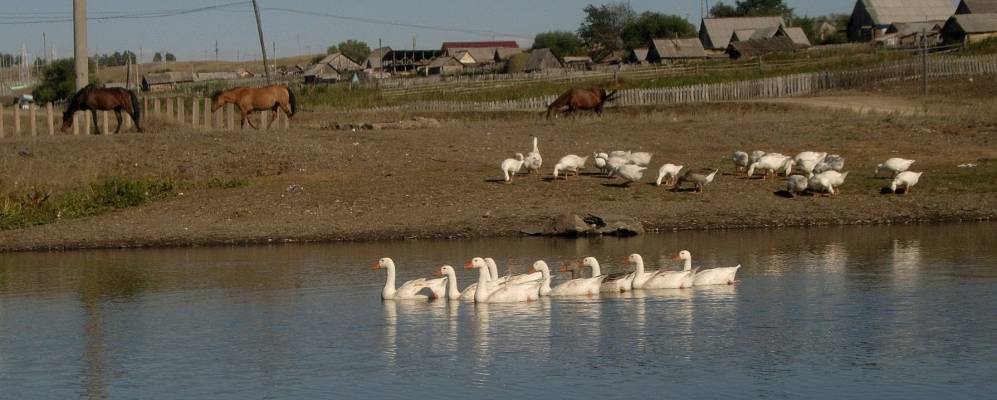 
            Фотография Юлдыбаево