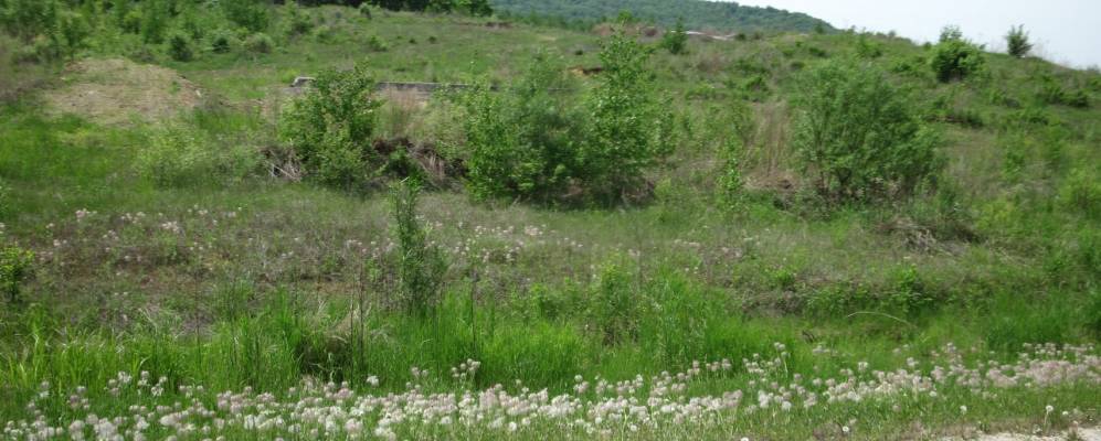 
            Фотография Урила