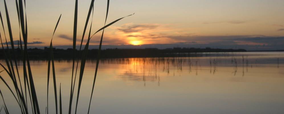 Фотография Шашубая