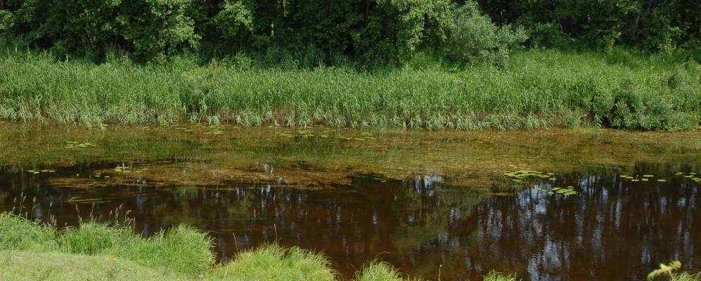 
            Фотография Шмаков