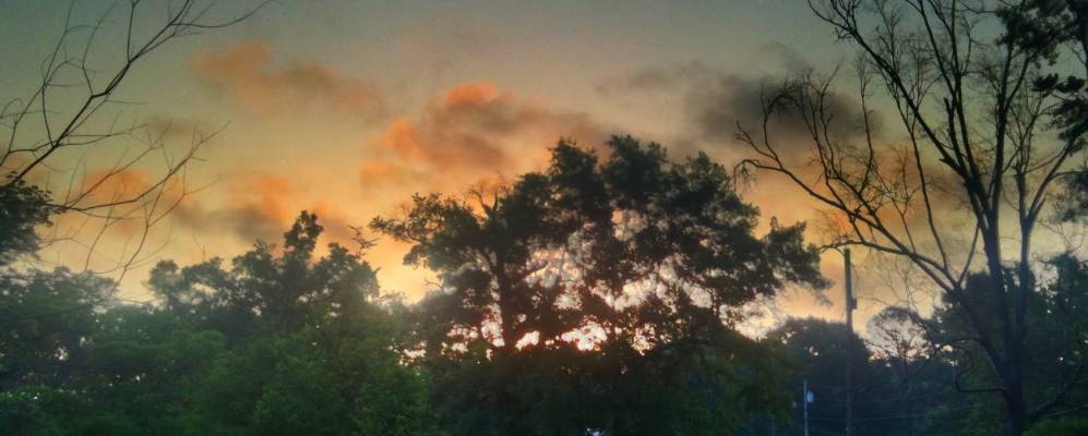 
            Фотография Вессона