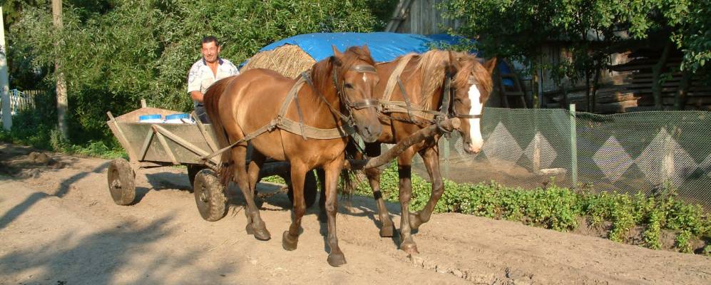 
            Фотография Семиковцы