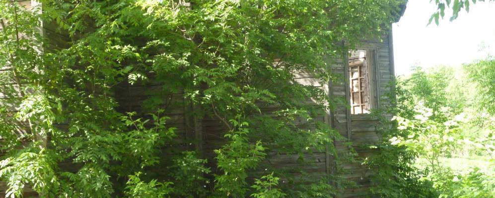 
            Фотография Заречья