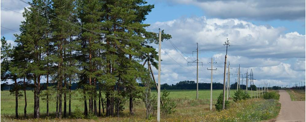 
            Фотография Куразово