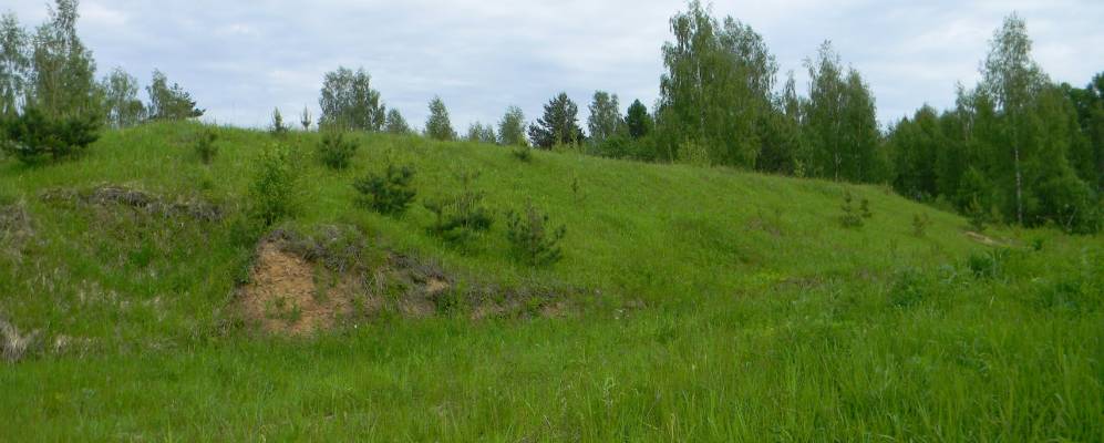 
            Фотография Никулино