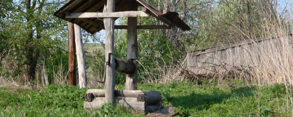 
            Фотография Вастромы