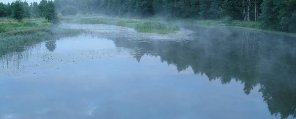 
            Фотография Березовки