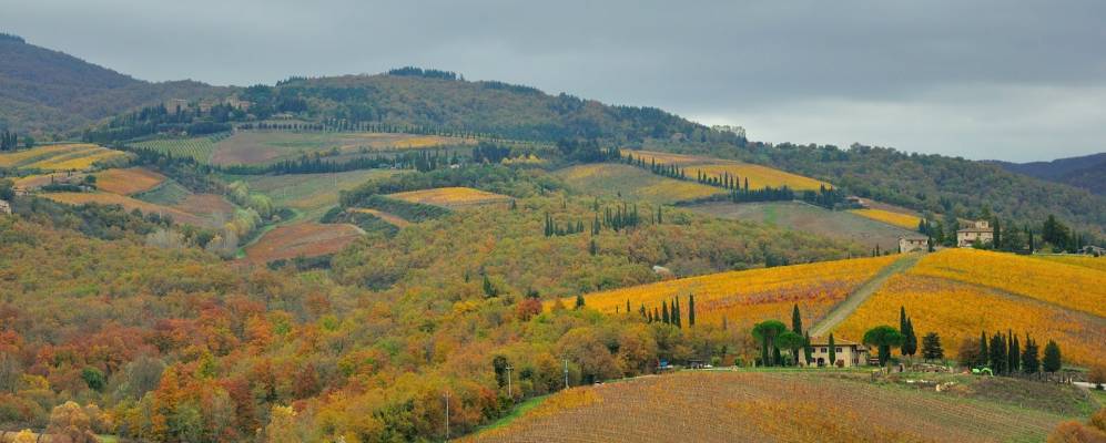 
            Фотография Радда-ин-Кьянти