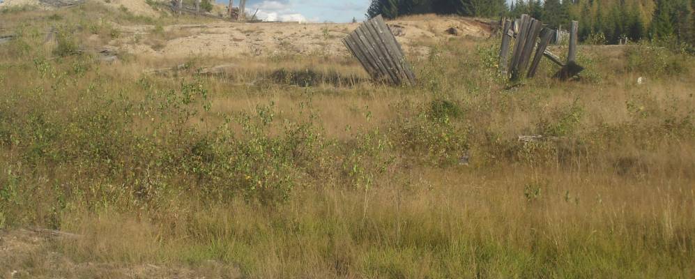 
            Фотография Перервы