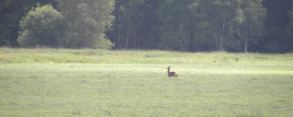 Фотография деревни Новосёлки
