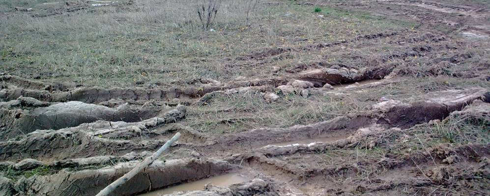 
            Фотография Середнево