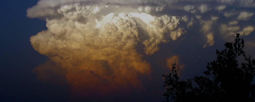 
            Фотография Вимберлей