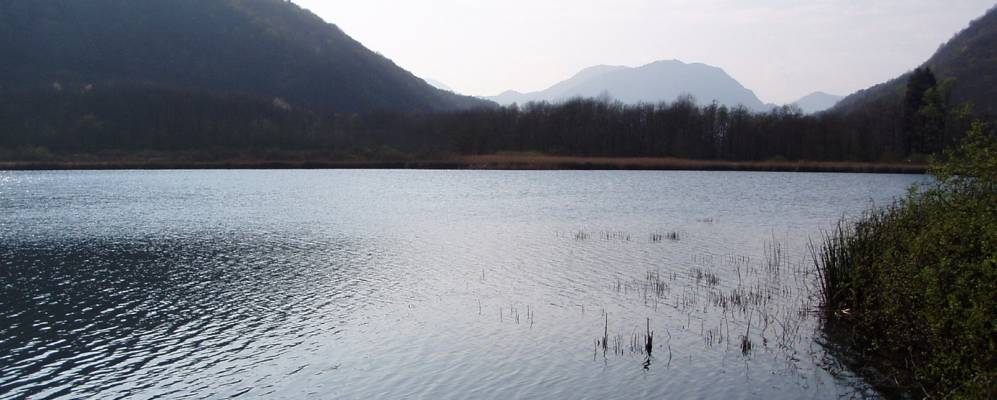 
            Фотография Вальганны